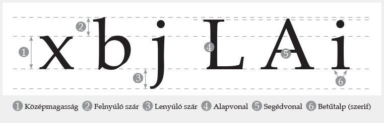 betűk anatómiája