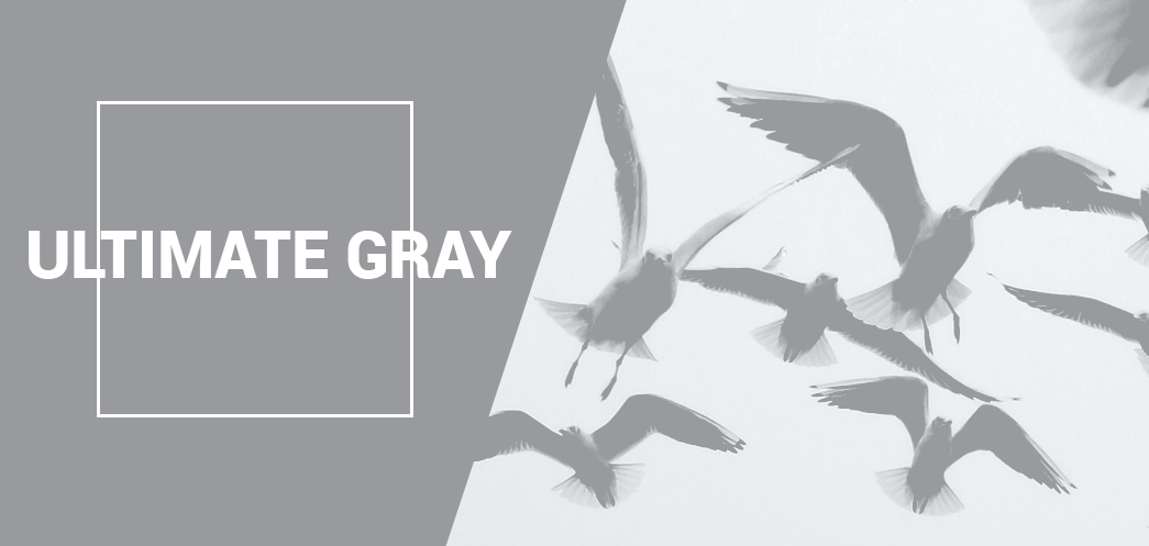 pantone ultimate gray