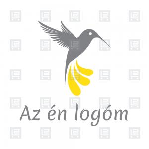 Kolibri madár logó - Sokszínű